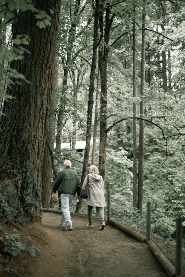 Contact Belgrevtoria